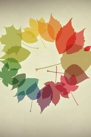 Обои обои, листья, осень, минимализм, осенние обои, wallpaper, leaves, autumn, minimalism, autumn wallpaper разрешение 2560x1440 Загрузить