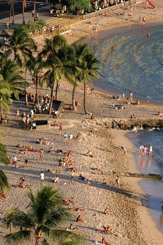 Обои берег, пейзаж, пляж, люди, пальмы, океан, яхта, shore, landscape, beach, people, palm trees, the ocean, yacht разрешение 1920x1080 Загрузить