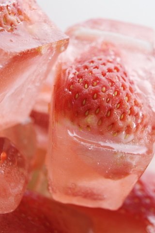 Обои ягода, клубника, лёд, кубики, berry, strawberry, ice, cubes разрешение 1920x1200 Загрузить