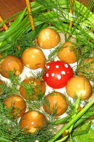 Обои зелень, яйца, помидоры, салат, закуска, greens, eggs, tomatoes, salad, appetizer разрешение 3190x2497 Загрузить