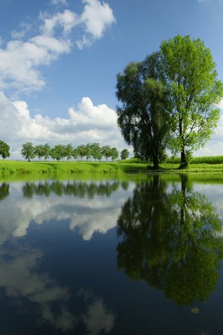 Обои небо, трава, облака, деревья, река, природа, отражение, пейзаж, the sky, grass, clouds, trees, river, nature, reflection, landscape разрешение 1920x1200 Загрузить