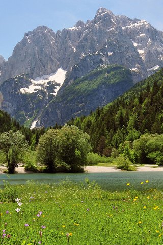 Обои озеро, горы, лес, луг, альпы, lake, mountains, forest, meadow, alps разрешение 1920x1200 Загрузить