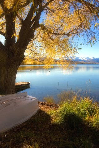 Обои озеро, дерево, осень, лодка, lake, tree, autumn, boat разрешение 1920x1080 Загрузить