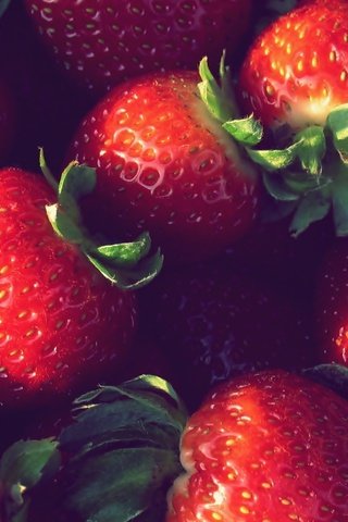 Обои макро, еда, клубника, ягоды, macro, food, strawberry, berries разрешение 1920x1200 Загрузить