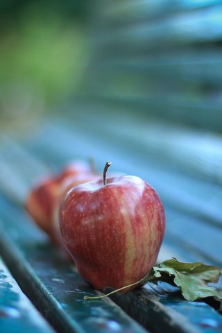 Обои макро, яблоки, осень, лист, лавка, macro, apples, autumn, sheet, shop разрешение 2400x1600 Загрузить