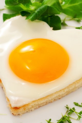 Обои еда, яйцо, яичница, жареное, глазунья, белок, желток, food, egg, scrambled eggs, fried, eggs, protein, the yolk разрешение 1920x1080 Загрузить