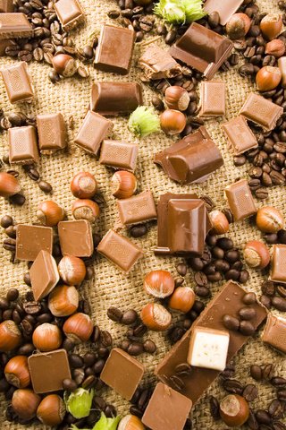 Обои шоколад, кофейные зерна, лесные орехи, chocolate, coffee beans, hazelnuts разрешение 3508x2480 Загрузить