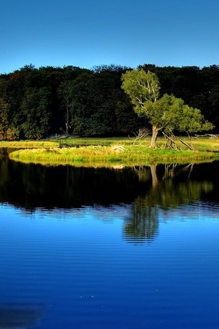 Обои деревья, вода, озеро, лес, отражение, пейзаж, trees, water, lake, forest, reflection, landscape разрешение 1920x1200 Загрузить