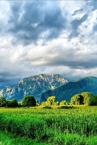 Обои небо, трава, облака, деревья, горы, природа, the sky, grass, clouds, trees, mountains, nature разрешение 1920x1200 Загрузить