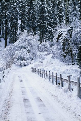 Обои дорога, мостик, лес, зима, речка, зимний лес, road, the bridge, forest, winter, river, winter forest разрешение 1920x1080 Загрузить