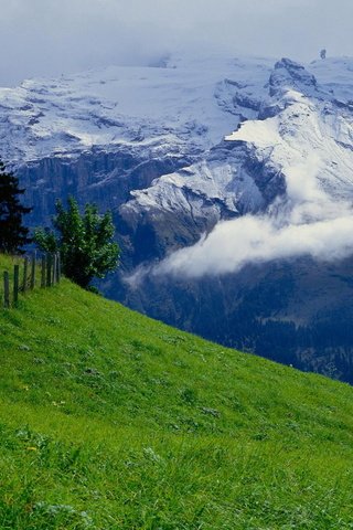 Обои небо, горы, зелень, лето, луг, альпы, the sky, mountains, greens, summer, meadow, alps разрешение 1920x1080 Загрузить