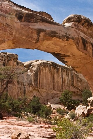 Обои скалы, каньон, арка, capitol reef national park, rocks, canyon, arch разрешение 1920x1080 Загрузить