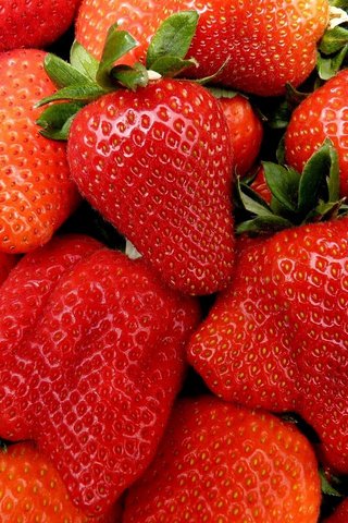 Обои ягода, красная, клубника, спелая, сочная, berry, red, strawberry, ripe, juicy разрешение 2048x1436 Загрузить