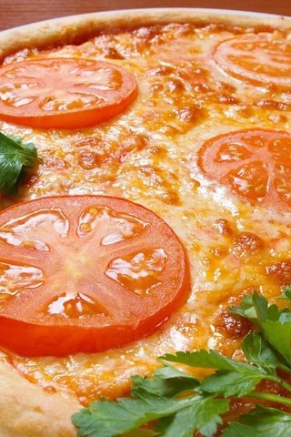 Обои зелень, сыр, выпечка, помидоры, пицца, greens, cheese, cakes, tomatoes, pizza разрешение 1920x1200 Загрузить