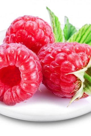 Обои малина, красная, спелая, ягоды, тарелка, хвостики, raspberry, red, ripe, berries, plate, tails разрешение 1920x1200 Загрузить