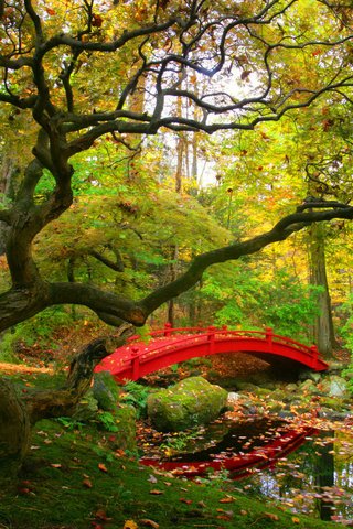 Обои река, дерево, мостик, листва, осень, river, tree, the bridge, foliage, autumn разрешение 1920x1080 Загрузить