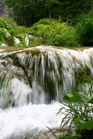 Обои вода, природа, зелень, пейзаж, лето, водопад, небольшой водопад, water, nature, greens, landscape, summer, waterfall, a small waterfall разрешение 1920x1280 Загрузить