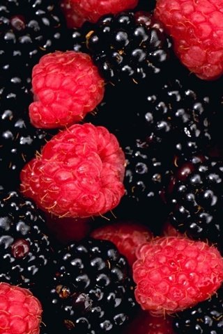 Обои малина, ягоды, ежевика, raspberry, berries, blackberry разрешение 1920x1200 Загрузить