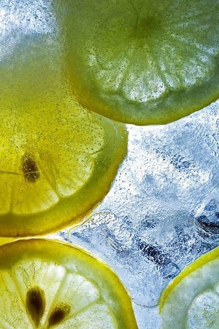 Обои вода, лёд, лимон, water, ice, lemon разрешение 1920x1200 Загрузить