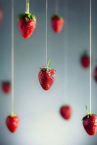 Обои ягода, клубника, berry, strawberry разрешение 1920x1200 Загрузить