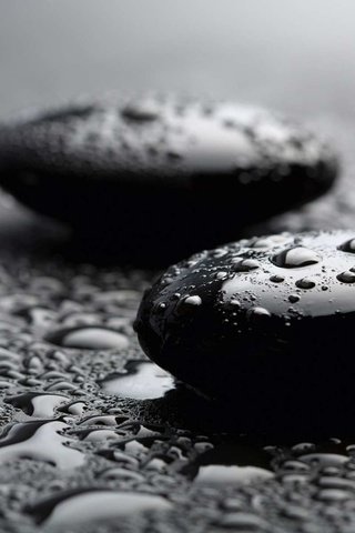 Обои камни, макро, капли, капельки, чёрно-белый, спа, капли воды, черные камни, stones, macro, drops, droplets, black and white, spa, water drops, black stones разрешение 1920x1200 Загрузить
