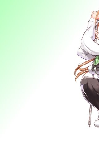 Обои highschool of the dead, miyamoto rei разрешение 1920x1200 Загрузить