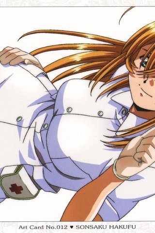 Обои ikkitousen, sonsaku hakufu, медсестра, nurse разрешение 3584x2485 Загрузить