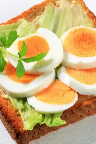 Обои бутерброд, хлеб, яйцо, петрушка, тост, sandwich, bread, egg, parsley, toast разрешение 1920x1200 Загрузить