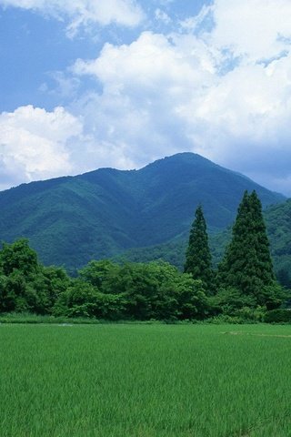 Обои небо, трава, деревья, горы, пейзаж, поле, домики, япония, the sky, grass, trees, mountains, landscape, field, houses, japan разрешение 1920x1200 Загрузить