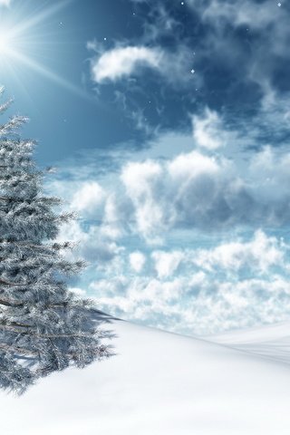Обои небо, праздник, свет, облака, солнце, снег, новый год, зима, ель, the sky, holiday, light, clouds, the sun, snow, new year, winter, spruce разрешение 1920x1200 Загрузить
