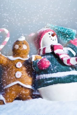 Обои снег, 2013, сувениры, новый год, пряник, макро, снеговик, игрушки, праздник, печенька, с новым годом, snow, souvenirs, new year, gingerbread, macro, snowman, toys, holiday, cookie, happy new year разрешение 2560x1600 Загрузить