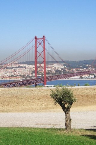 Обои деревья, город, подвесной мост, вдали, trees, the city, suspension bridge, away разрешение 2048x1152 Загрузить