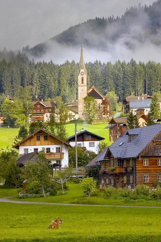 Обои горы, деревня, австрия, дома, альпы, коровы, mountains, village, austria, home, alps, cows разрешение 1920x1080 Загрузить