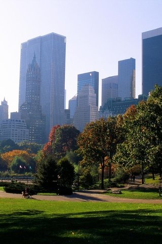 Обои деревья, парк, лето, город, небоскребы, trees, park, summer, the city, skyscrapers разрешение 2534x1686 Загрузить