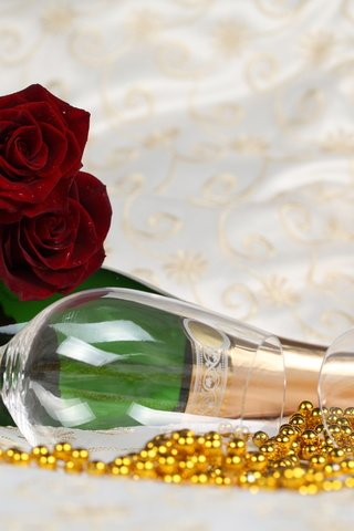 Обои cvety, rozy, shampanskoe, ochki разрешение 4368x2912 Загрузить