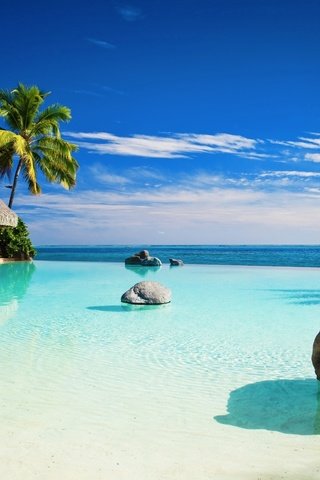 Обои небо, пальмы, океан, бунгало, тропики, the sky, palm trees, the ocean, bungalow, tropics разрешение 2560x1600 Загрузить