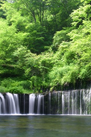 Обои деревья, вода, лес, водопад, тропический лес, trees, water, forest, waterfall, rainforest разрешение 1920x1200 Загрузить