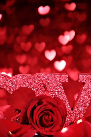 Обои розы, сердца, день святого валентина, cvety, serdce, lyubov, rouz, roses, heart, valentine's day разрешение 2560x1600 Загрузить