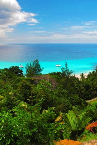 Обои берег, море, яхты, тропики, shore, sea, yachts, tropics разрешение 4066x2286 Загрузить