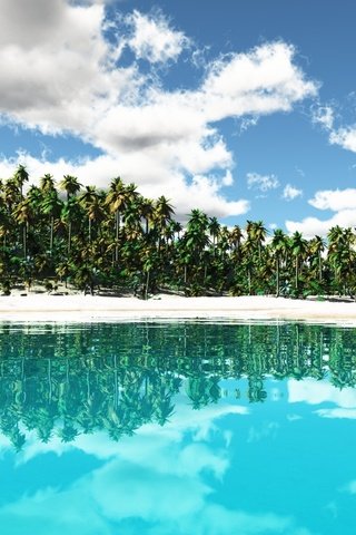 Обои песок, пляж, пальмы, тропики, sand, beach, palm trees, tropics разрешение 1920x1080 Загрузить