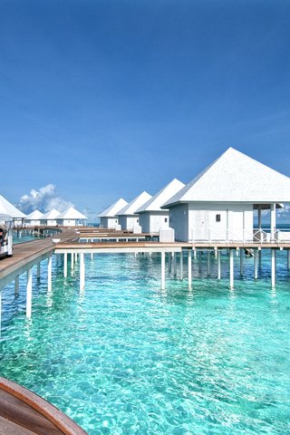 Обои тропики, мальдивы, tropics, the maldives разрешение 2362x1620 Загрузить