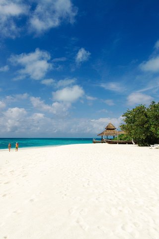 Обои пляж, пальмы, тропики, мальдивы, beach, palm trees, tropics, the maldives разрешение 4288x2848 Загрузить