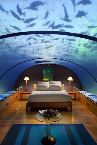 Обои интерьер, под водой, тропики, мальдивы, interior, under water, tropics, the maldives разрешение 4256x2832 Загрузить