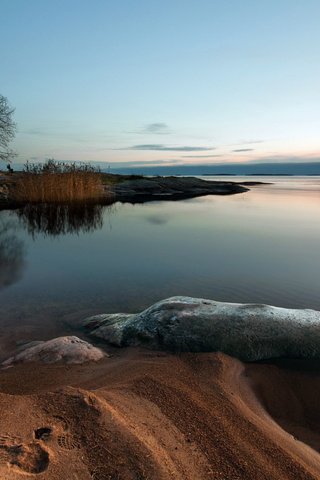 Обои деревья, река, берег, закат, море, песок, trees, river, shore, sunset, sea, sand разрешение 2560x1600 Загрузить