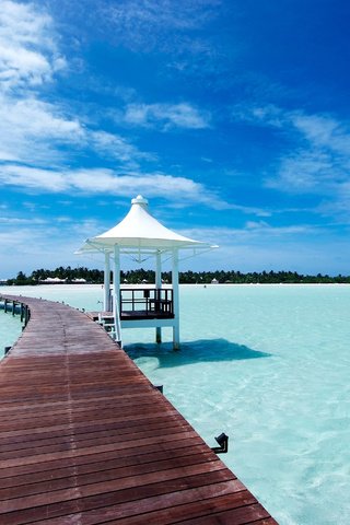 Обои остров, тропики, мальдивы, island, tropics, the maldives разрешение 4256x2848 Загрузить