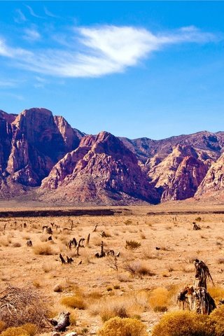 Обои горы, скалы, пустыня, невада, red rock canyon, mountains, rocks, desert, nevada разрешение 2560x1600 Загрузить