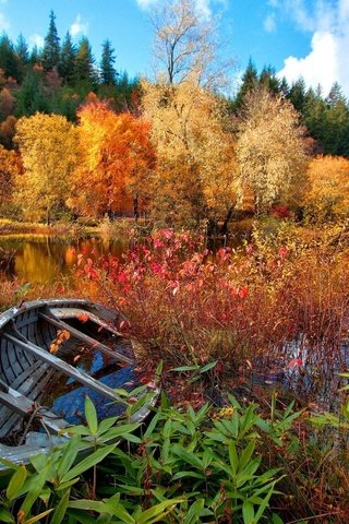 Обои небо, домик, цветы, деревья, озеро, река, лес, осень, лодка, the sky, house, flowers, trees, lake, river, forest, autumn, boat разрешение 1920x1200 Загрузить