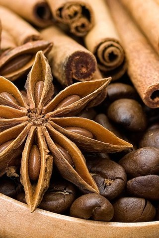 Обои корица, кофейные зерна, специи, пряности, приправы, бадьян, cinnamon, coffee beans, spices, seasoning, star anise разрешение 1920x1200 Загрузить