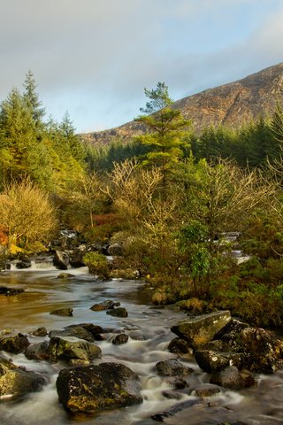 Обои деревья, река, горы, камни, лес, ручей, осень, trees, river, mountains, stones, forest, stream, autumn разрешение 1920x1200 Загрузить