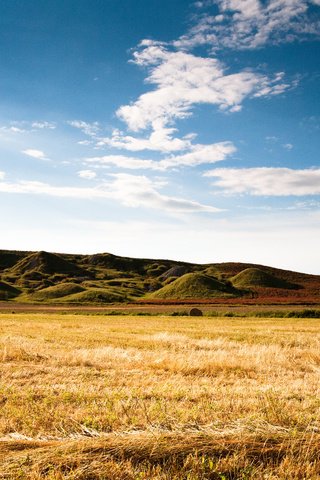 Обои небо, трава, облака, холмы, природа, поле, лето, the sky, grass, clouds, hills, nature, field, summer разрешение 2560x1600 Загрузить